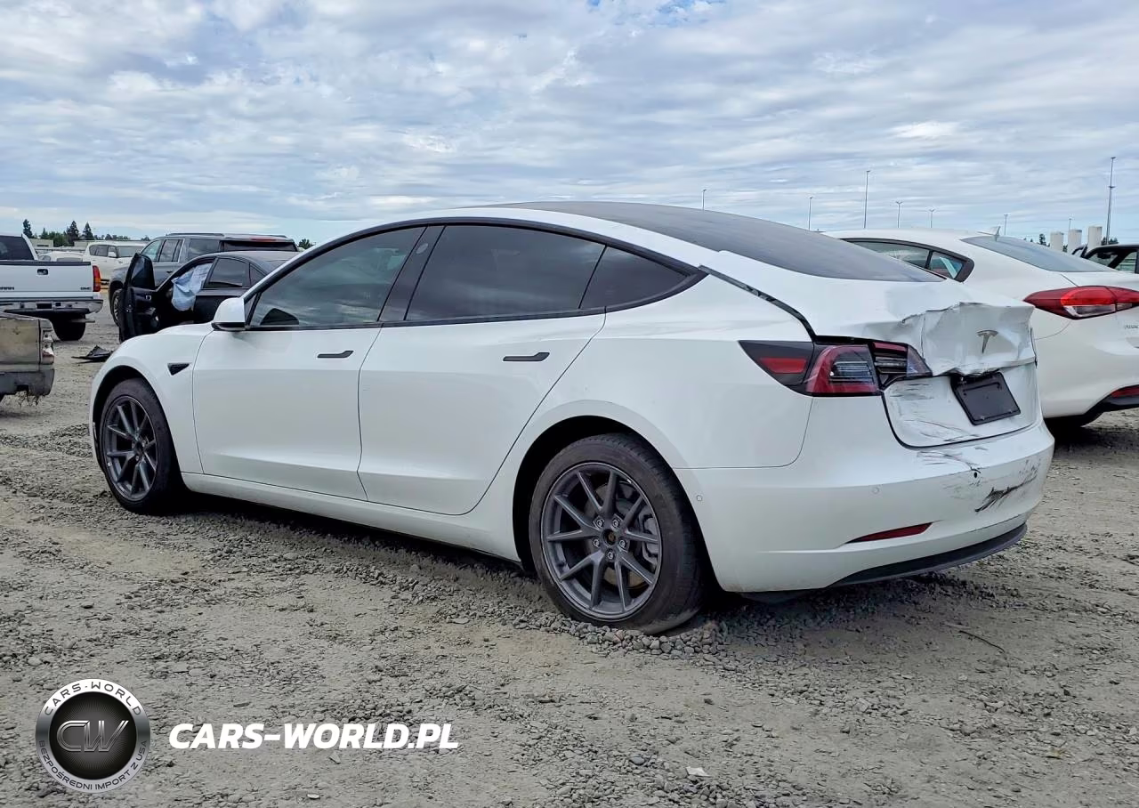 2021 Tesla Model 3 VIN:5YJ3E1EA2MF031358 - 2