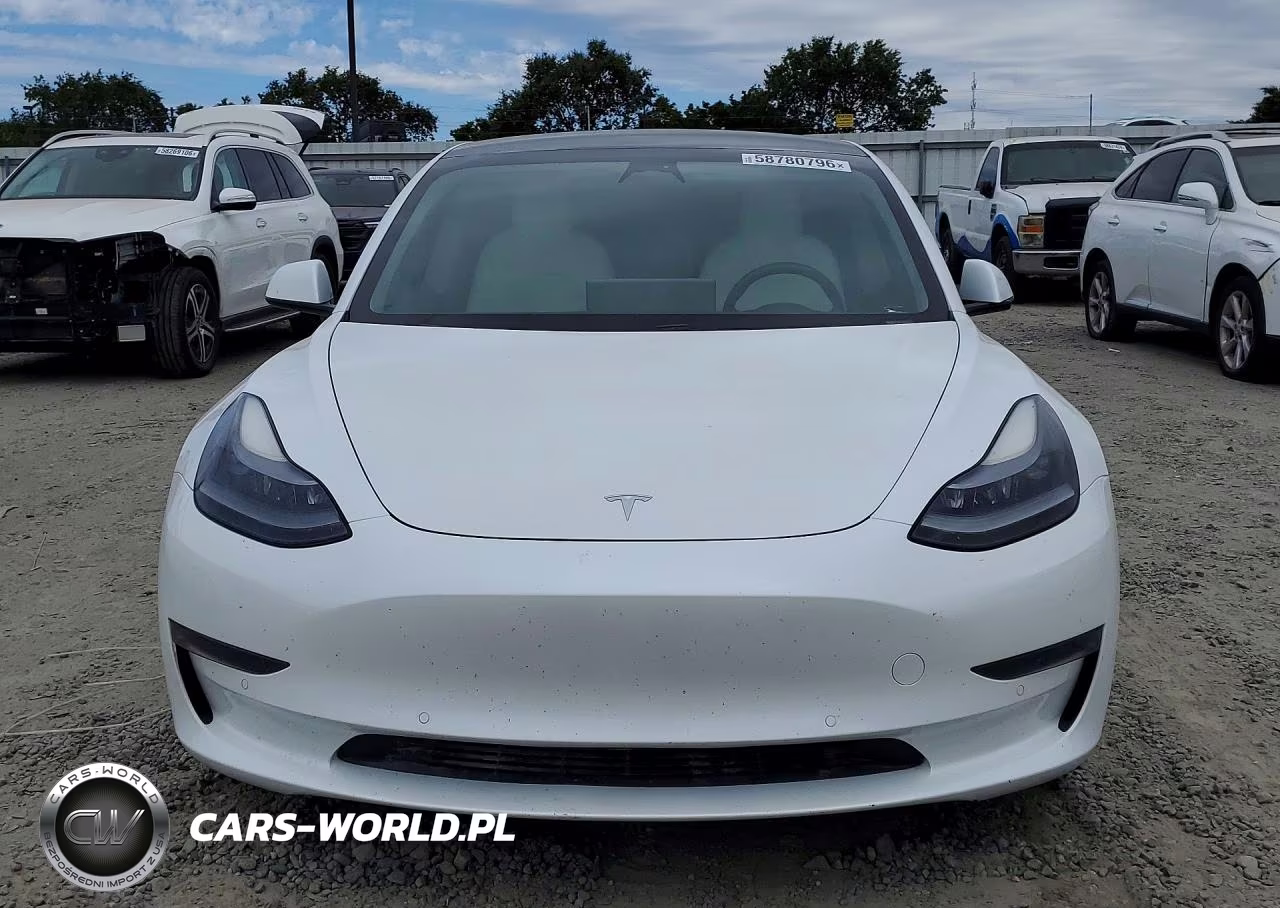 2021 Tesla Model 3 VIN:5YJ3E1EA2MF031358 - 5