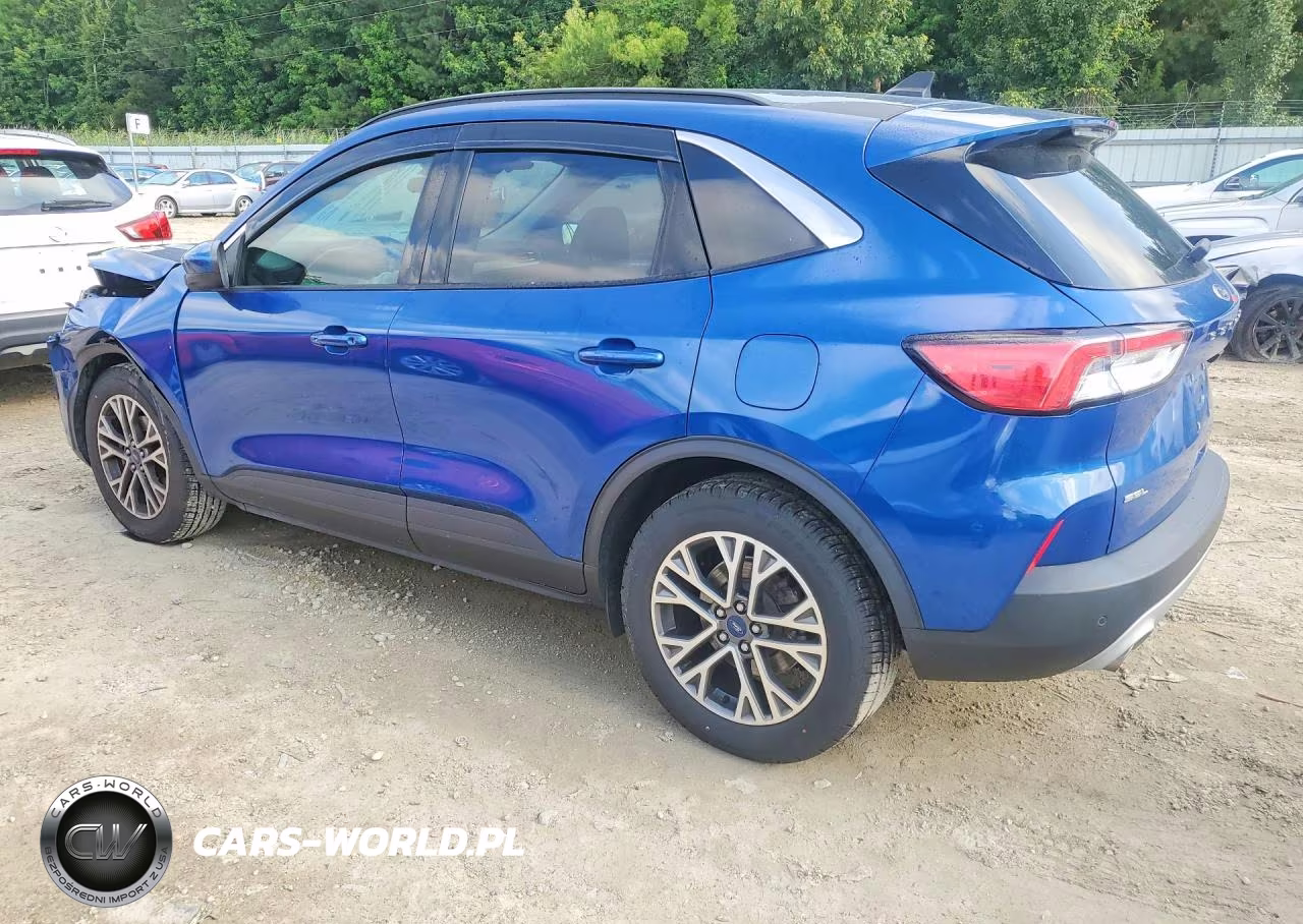 2022 Ford Escape Sel VIN:1FMCU0H61NUB13459 - 2