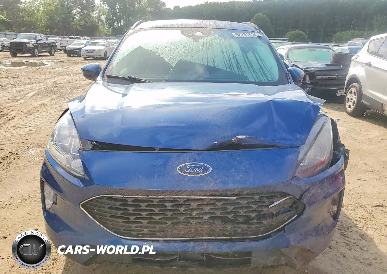 2022 Ford Escape Sel VIN:1FMCU0H61NUB13459 - 5