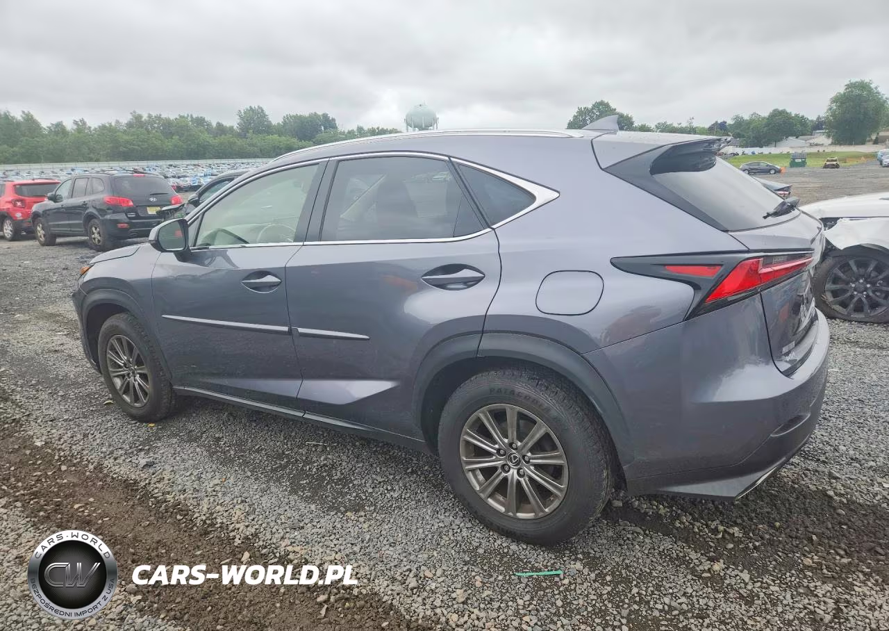 2019 Lexus Nx 300 Base VIN:JTJBARBZ7K2193080 - 2