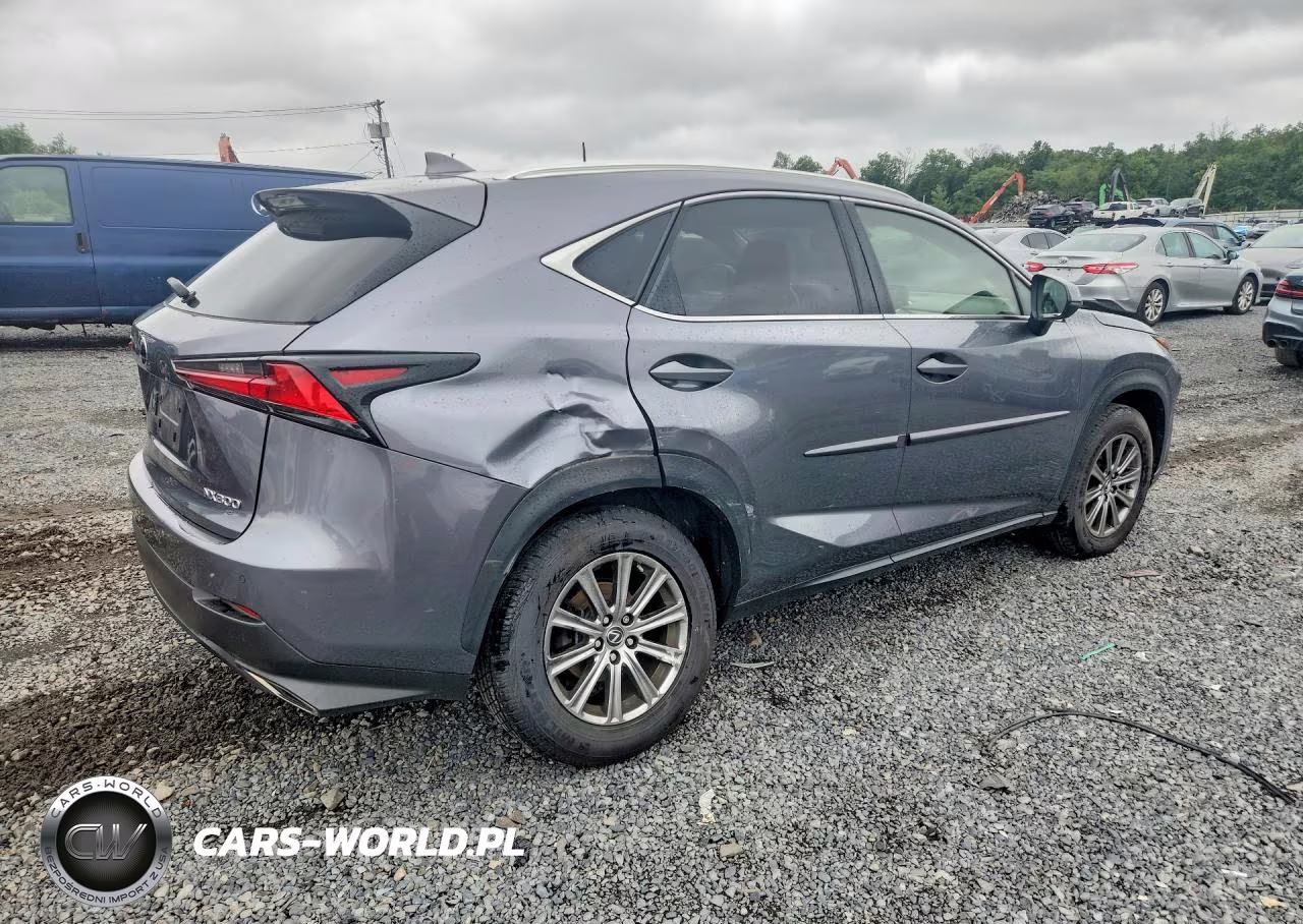 2019 Lexus Nx 300 Base VIN:JTJBARBZ7K2193080 - 3