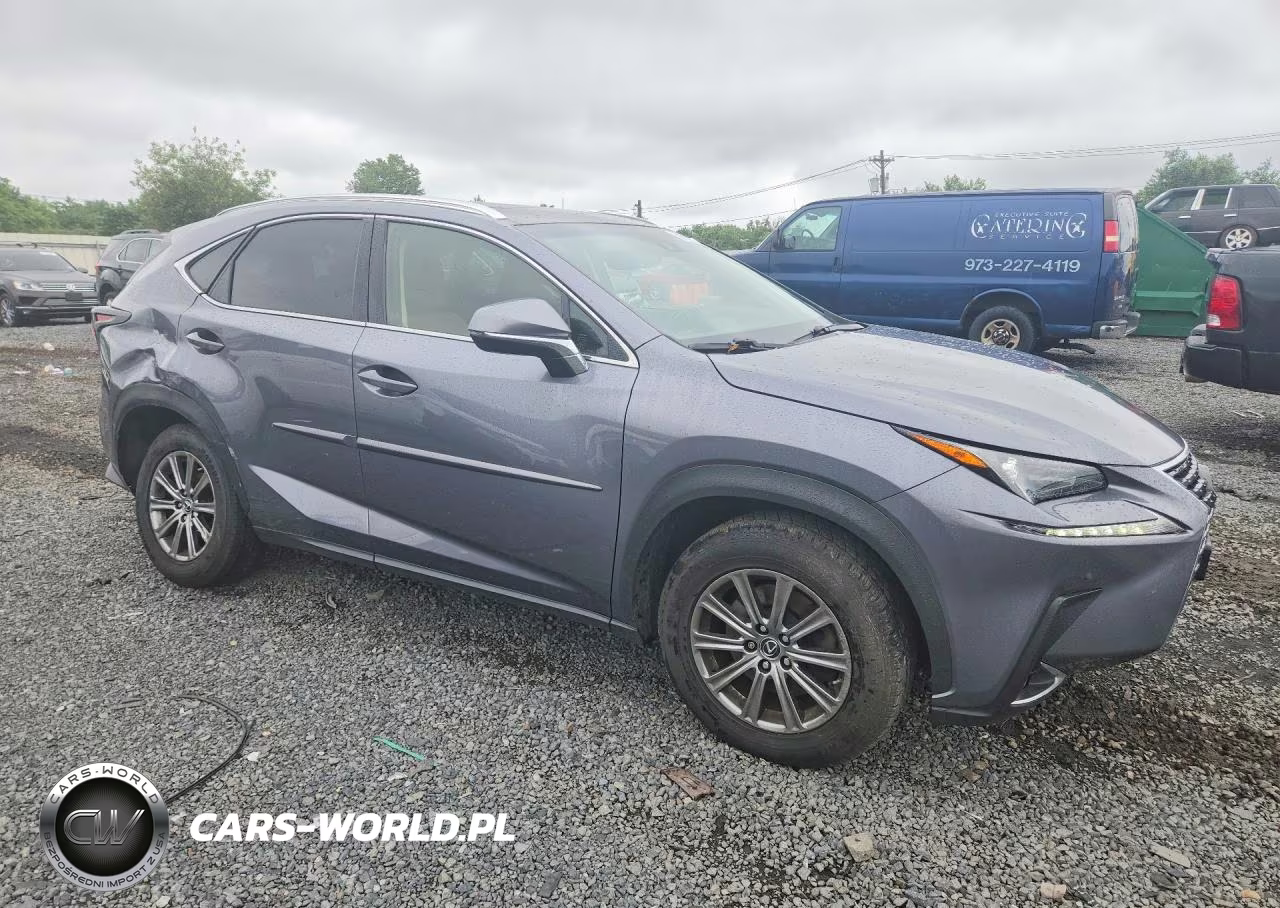 2019 Lexus Nx 300 Base VIN:JTJBARBZ7K2193080 - 4