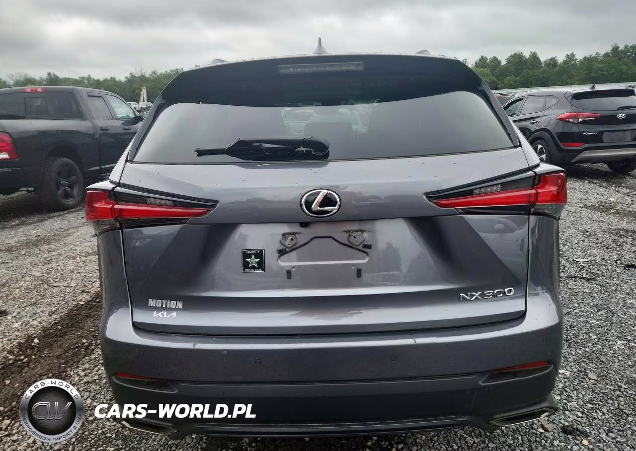 2019 Lexus Nx 300 Base VIN:JTJBARBZ7K2193080 - 6