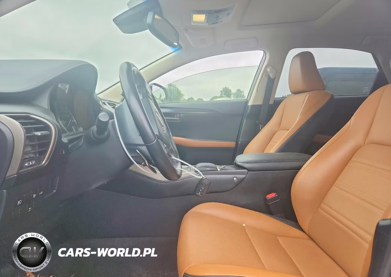 2019 Lexus Nx 300 Base VIN:JTJBARBZ7K2193080 - 7