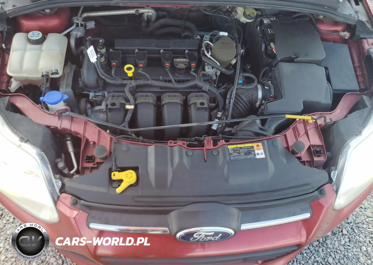 2013 Ford Focus Se VIN:1FADP3F27DL349450 - 11