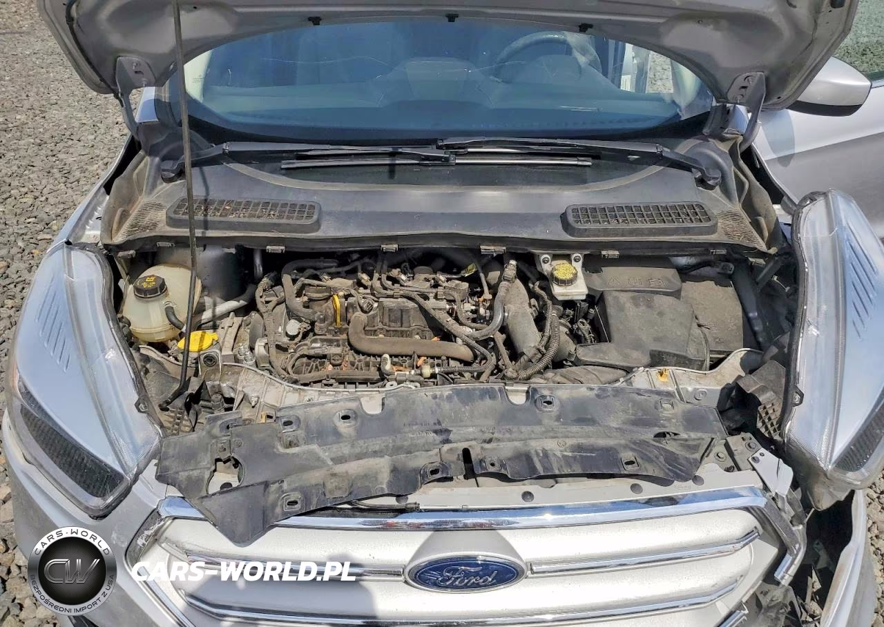 2019 Ford Escape Se VIN:1FMCU9GD8KUB82018 - 12