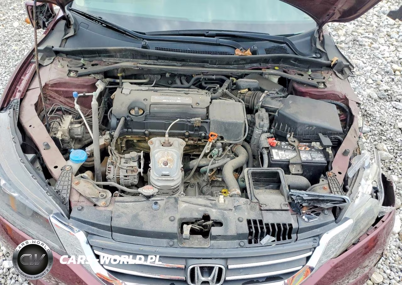 2014 Honda Accord Ex VIN:1HGCR2F78EA094196 - 11