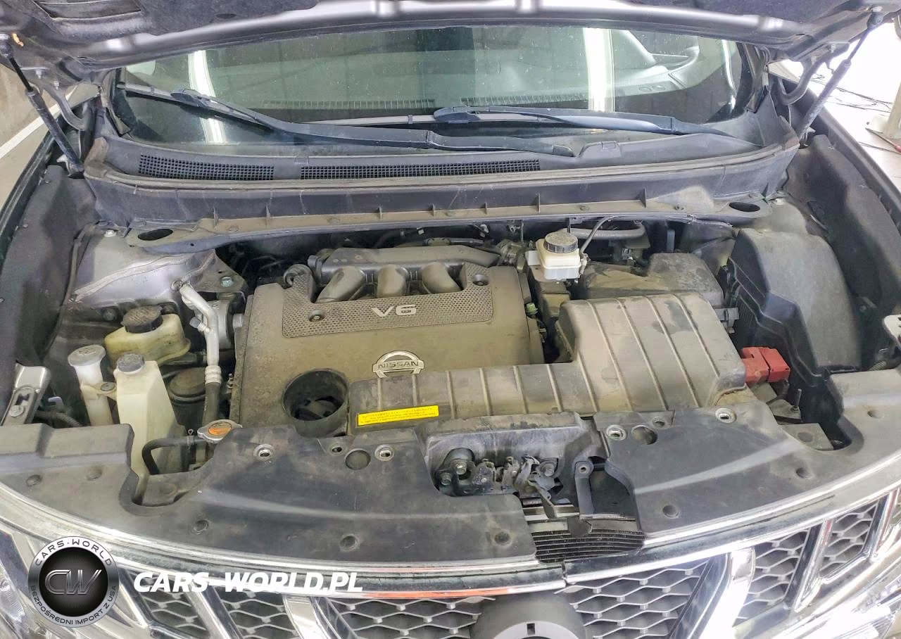 2013 Nissan Murano S VIN:JN8AZ1MU7DW211183 - 12