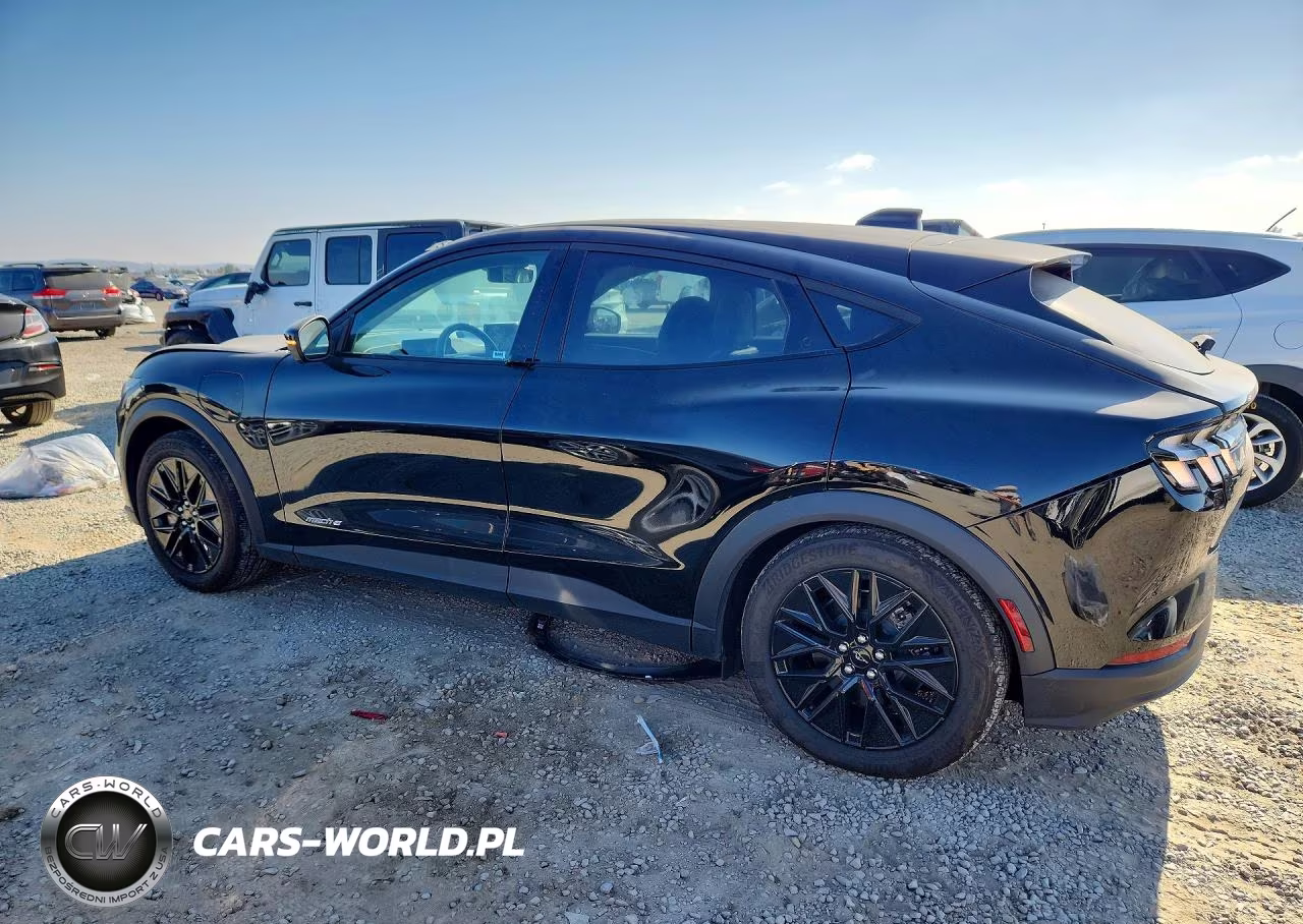 2025 Ford Mustang Mach-E Select VIN:3FMTK1R49SMA35649 - 2