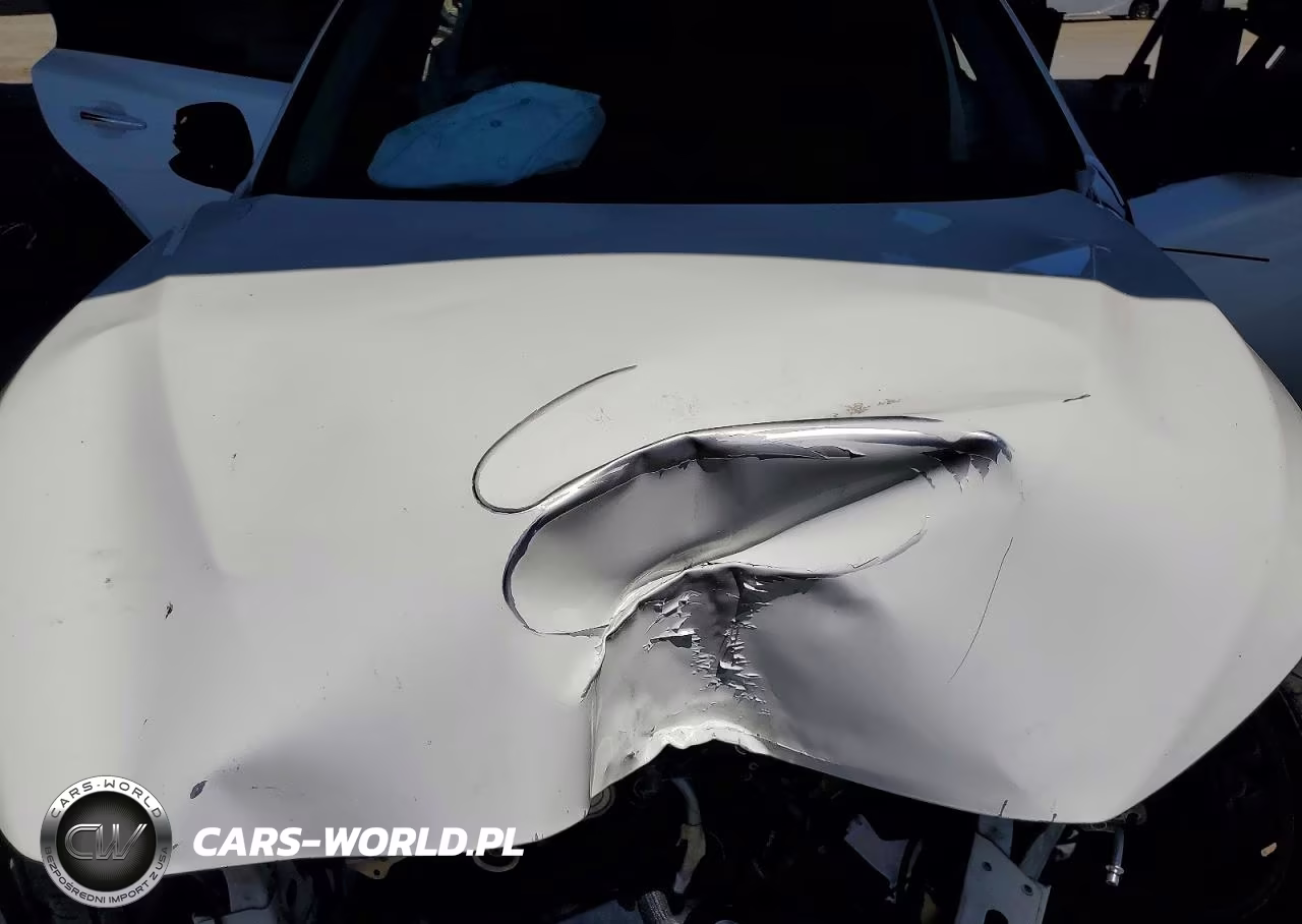 2019 Infiniti Q50 3.0T Luxe VIN:JN1EV7AP2KM515902 - 11