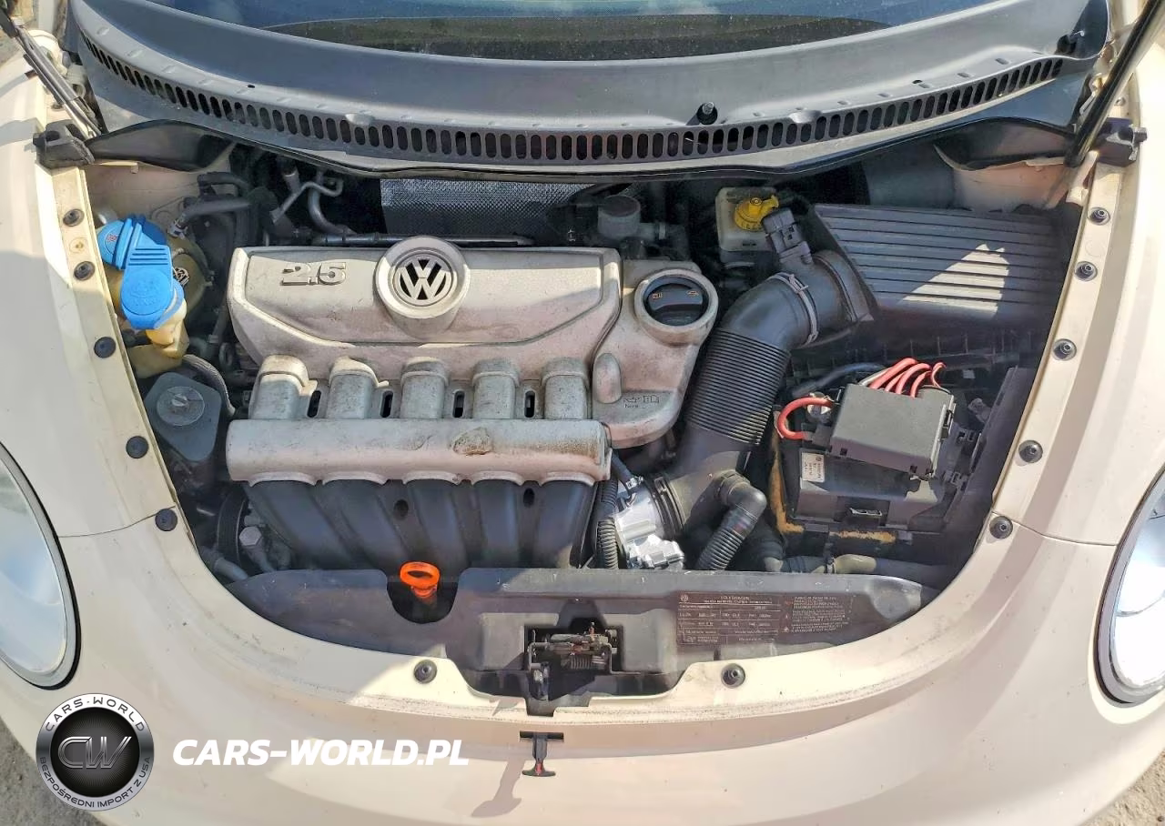 2009 Volkswagen New Beetle S VIN:3VWRF31Y79M405646 - 11