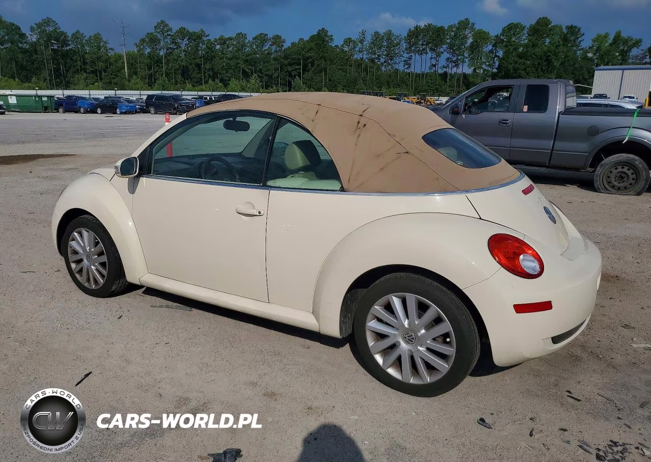 2009 Volkswagen New Beetle S VIN:3VWRF31Y79M405646 - 2