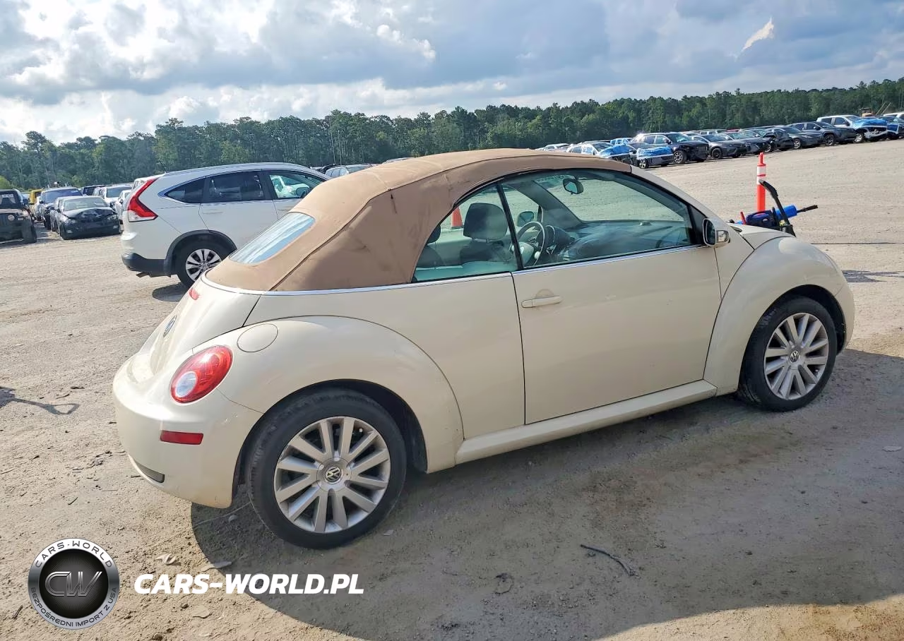 2009 Volkswagen New Beetle S VIN:3VWRF31Y79M405646 - 3