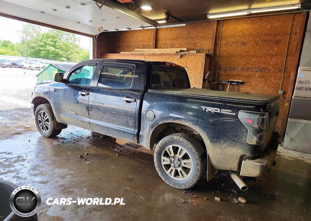 2008 Toyota Tundra Grade VIN:5TBDV54168S515685 - 2