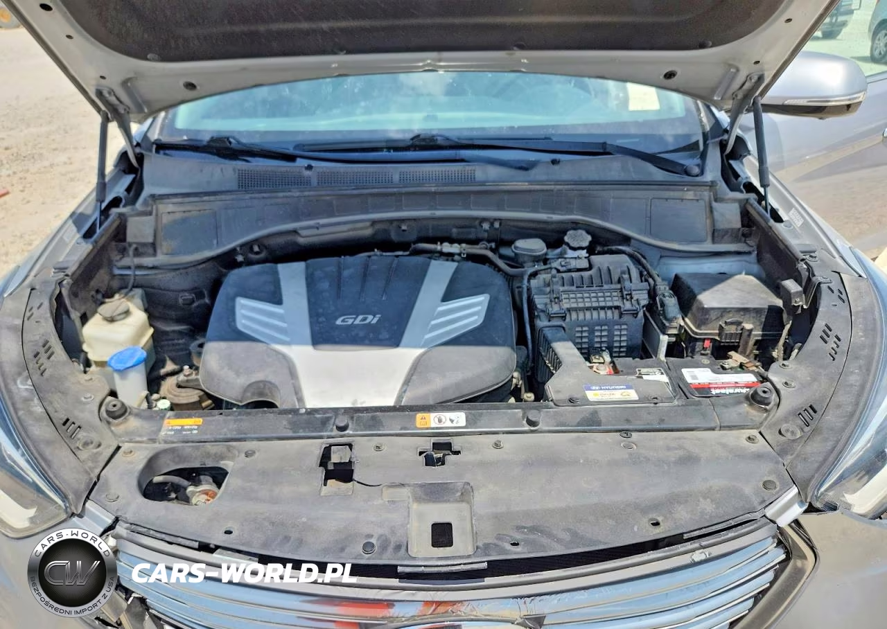 2019 Hyundai Santa Fe Xl Limited Ultimate VIN:KM8SR4HF8KU304988 - 12