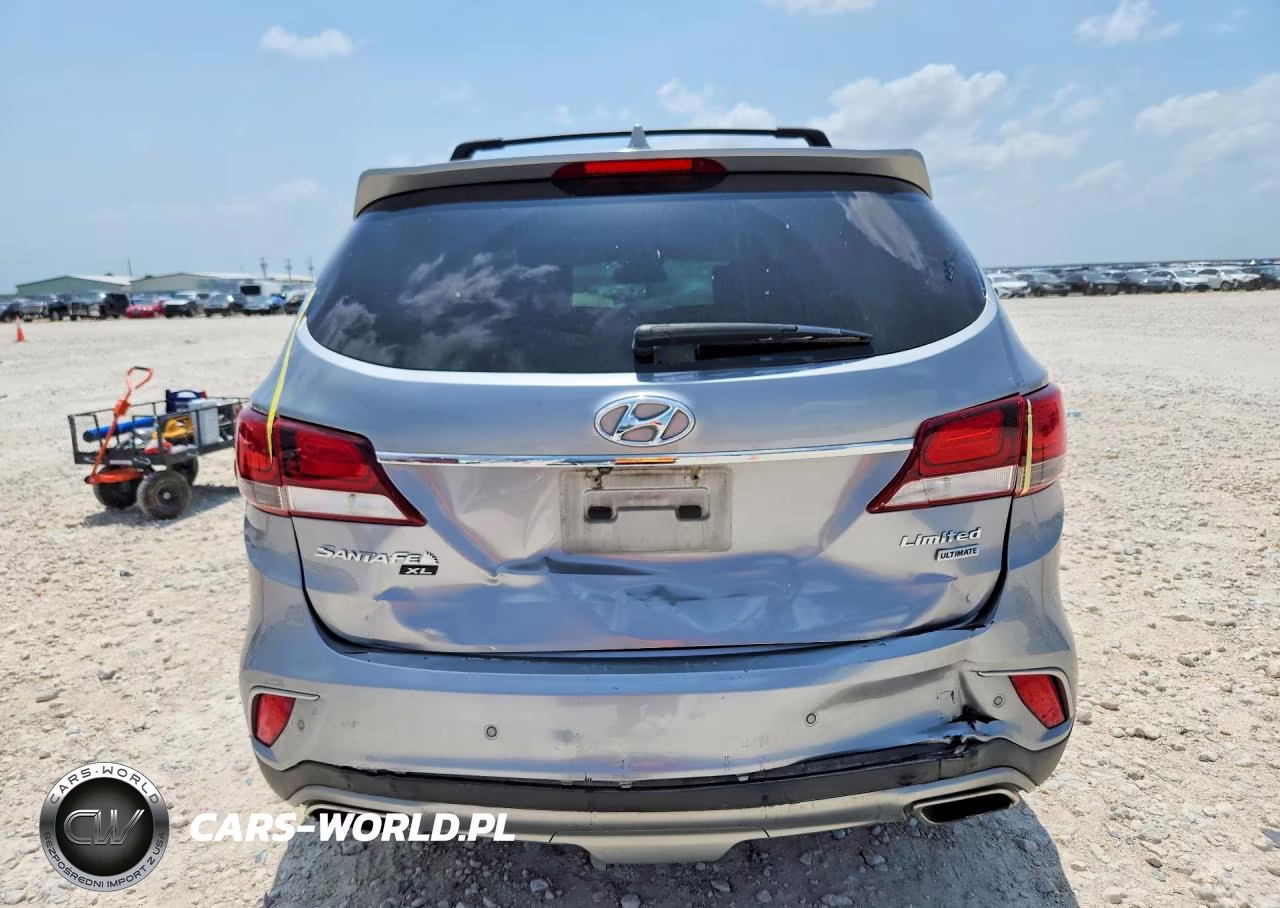 2019 Hyundai Santa Fe Xl Limited Ultimate VIN:KM8SR4HF8KU304988 - 6