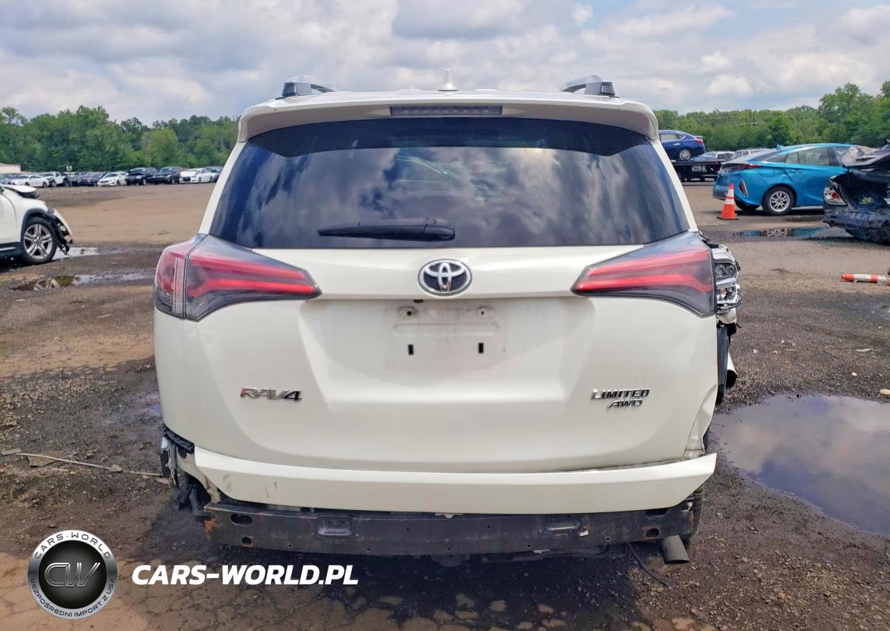 2016 Toyota Rav4 Limited VIN:2T3DFREV1GW516933 - 6