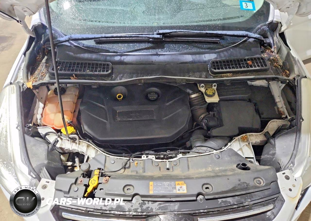 2014 Ford Escape Se VIN:1FMCU9G99EUD59854 - 12