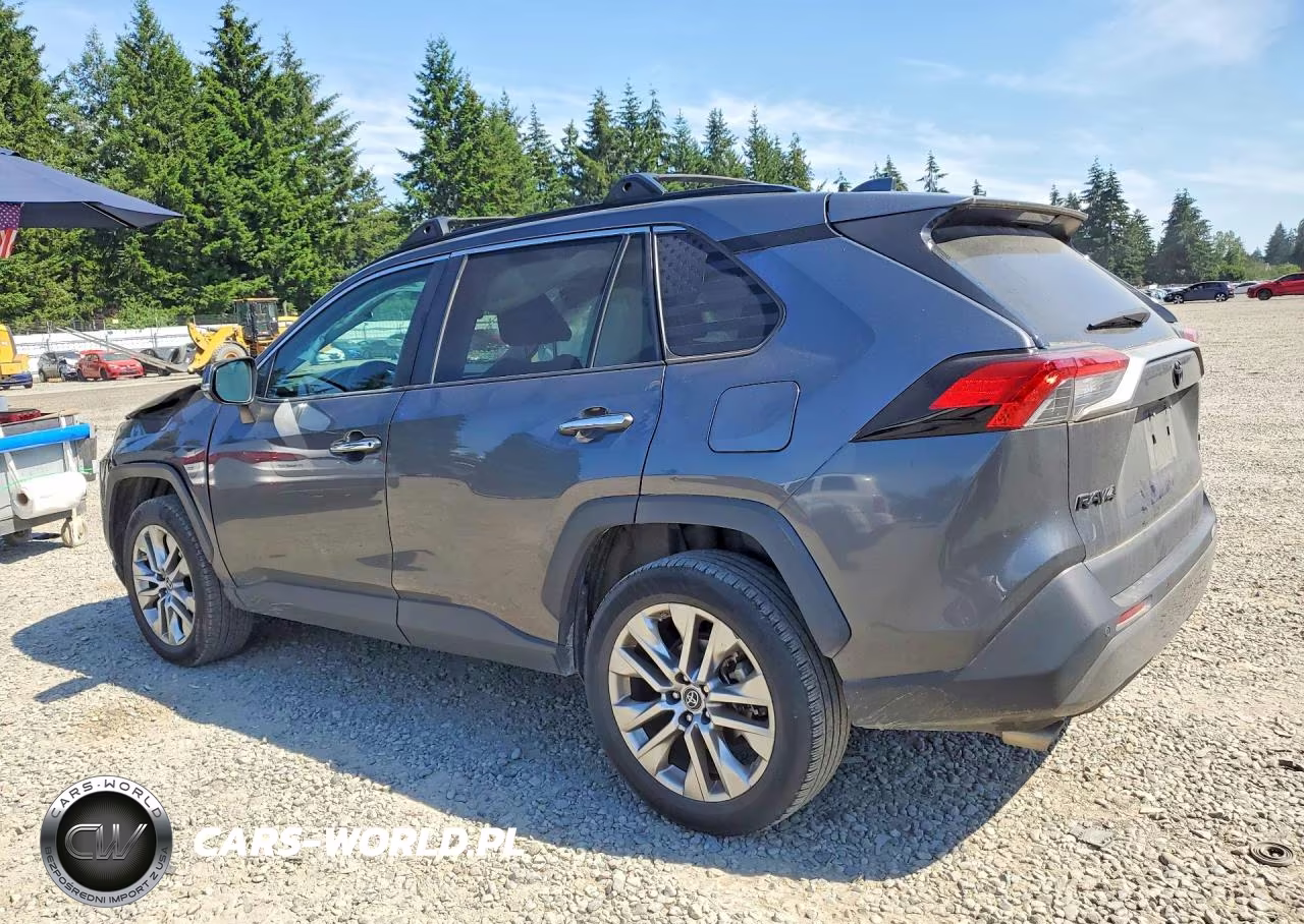 2019 Toyota Rav4 Limited VIN:2T3N1RFV1KC056099 - 2