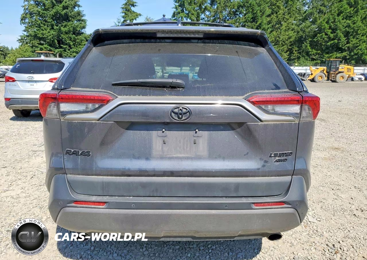 2019 Toyota Rav4 Limited VIN:2T3N1RFV1KC056099 - 6