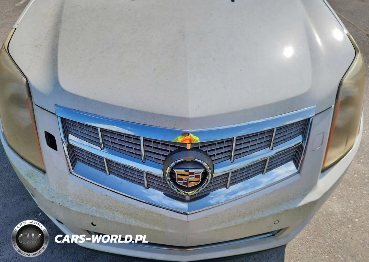 2010 Cadillac Srx Premium Collection VIN:3GYFNCEY9AS608020 - 12