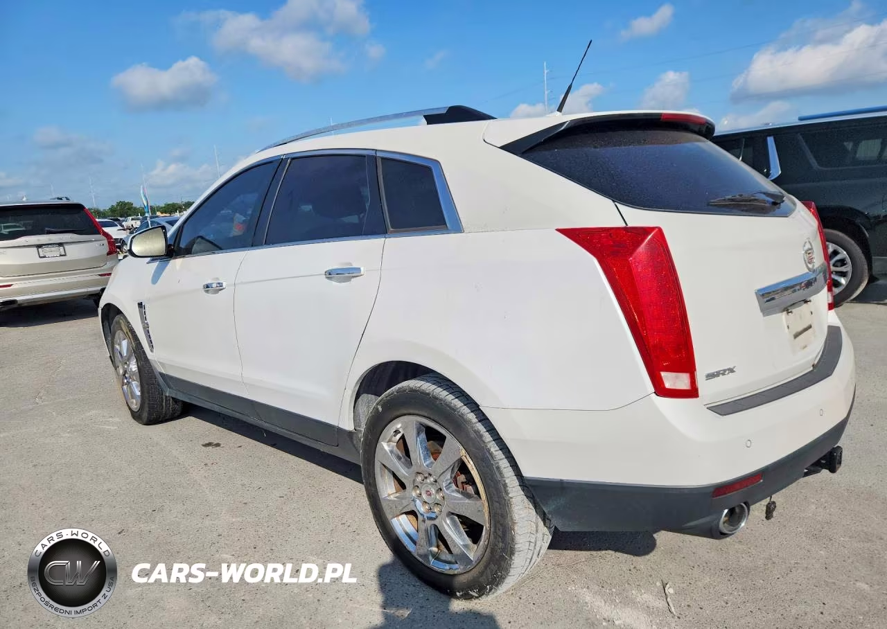 2010 Cadillac Srx Premium Collection VIN:3GYFNCEY9AS608020 - 2