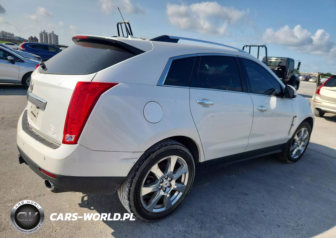 2010 Cadillac Srx Premium Collection VIN:3GYFNCEY9AS608020 - 3