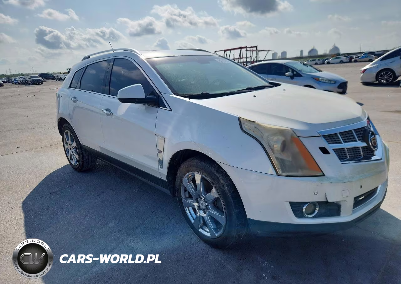 2010 Cadillac Srx Premium Collection VIN:3GYFNCEY9AS608020 - 4
