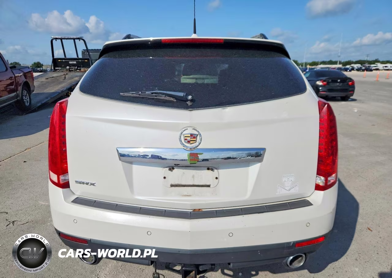 2010 Cadillac Srx Premium Collection VIN:3GYFNCEY9AS608020 - 6