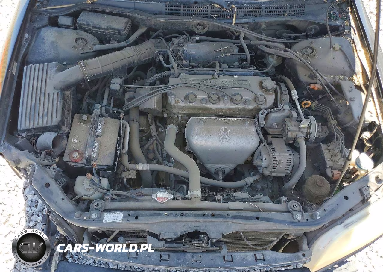 2002 Honda Accord Ex VIN:JHMCG66042C016592 - 11