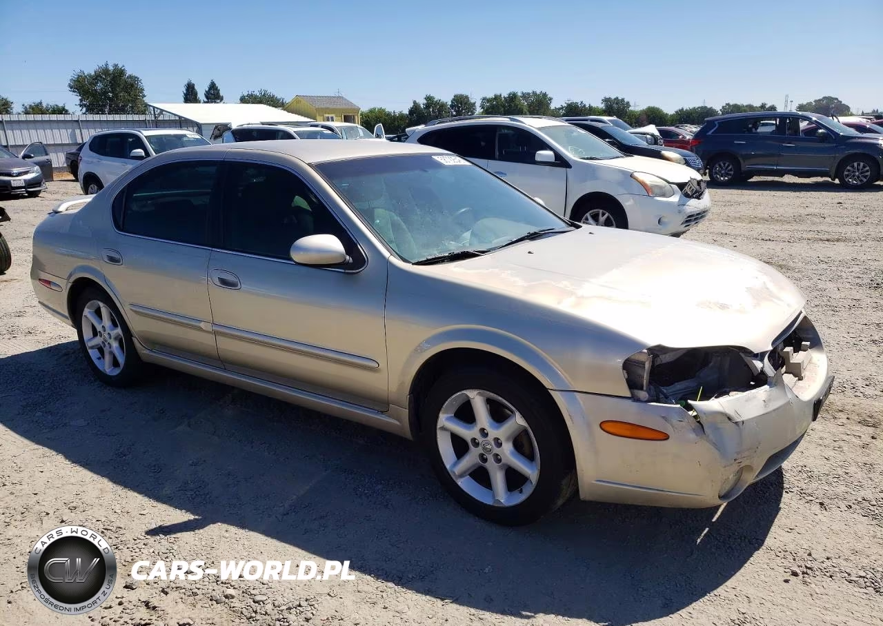 2002 Nissan Maxima Gxe VIN:JN1DA31D42T422181 - 4