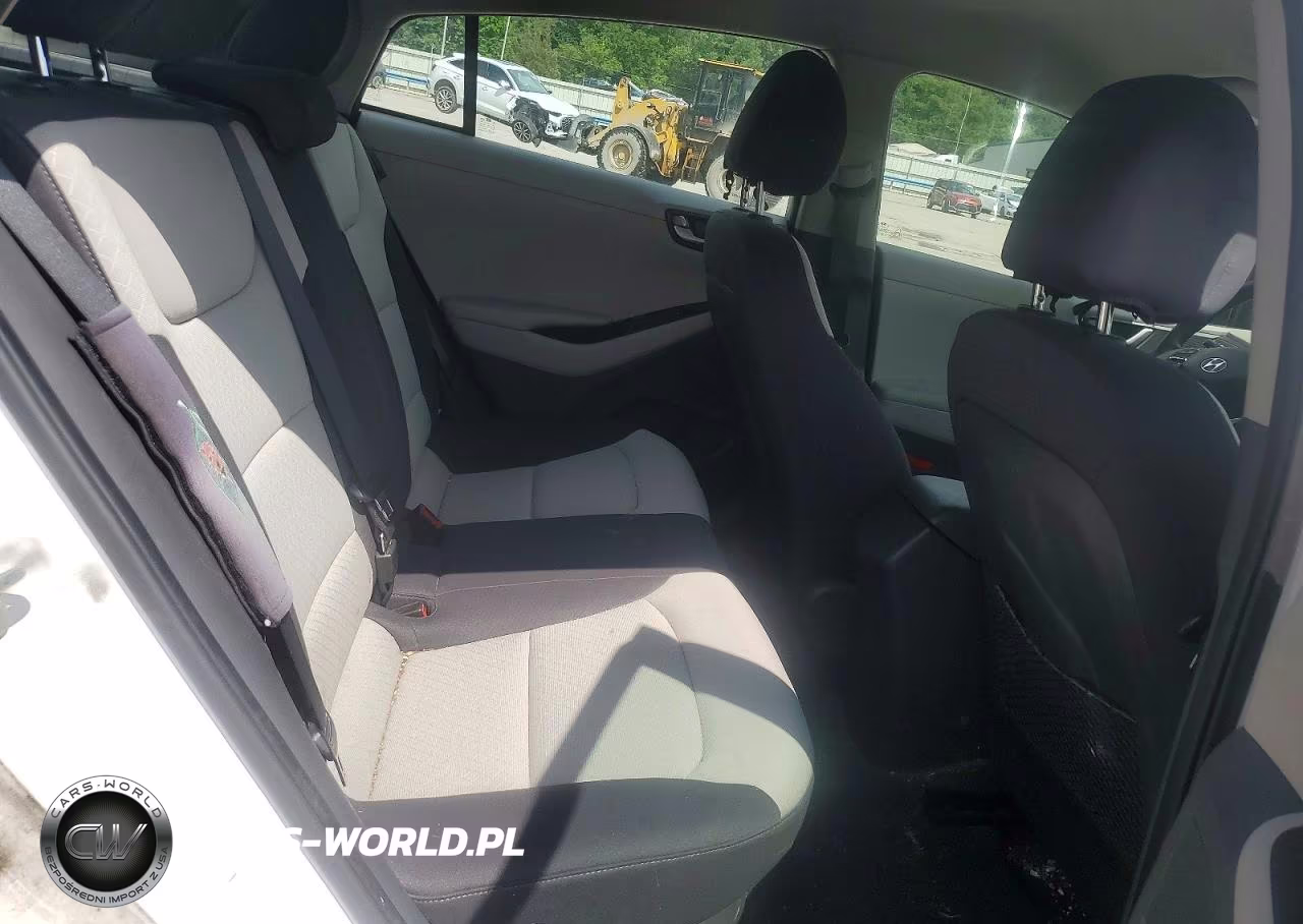2017 Hyundai Ioniq Blue VIN:KMHC65LC7HU024620 - 10