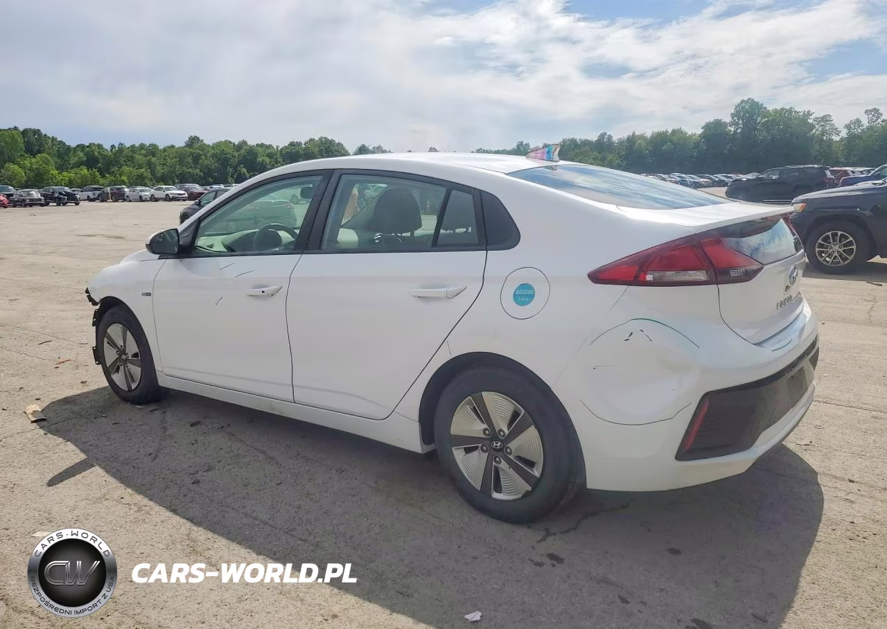 2017 Hyundai Ioniq Blue VIN:KMHC65LC7HU024620 - 2
