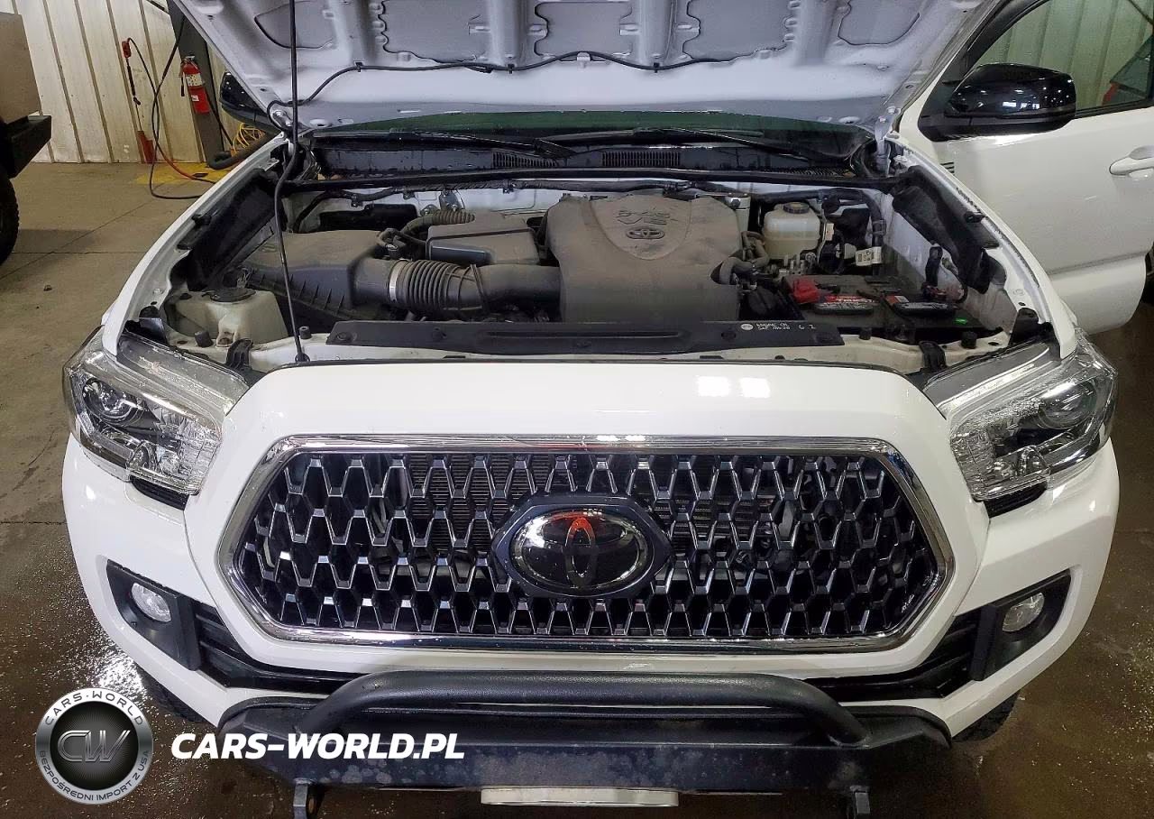 2019 Toyota Tacoma Trd Off-Road VIN:3TMDZ5BN4KM077208 - 11
