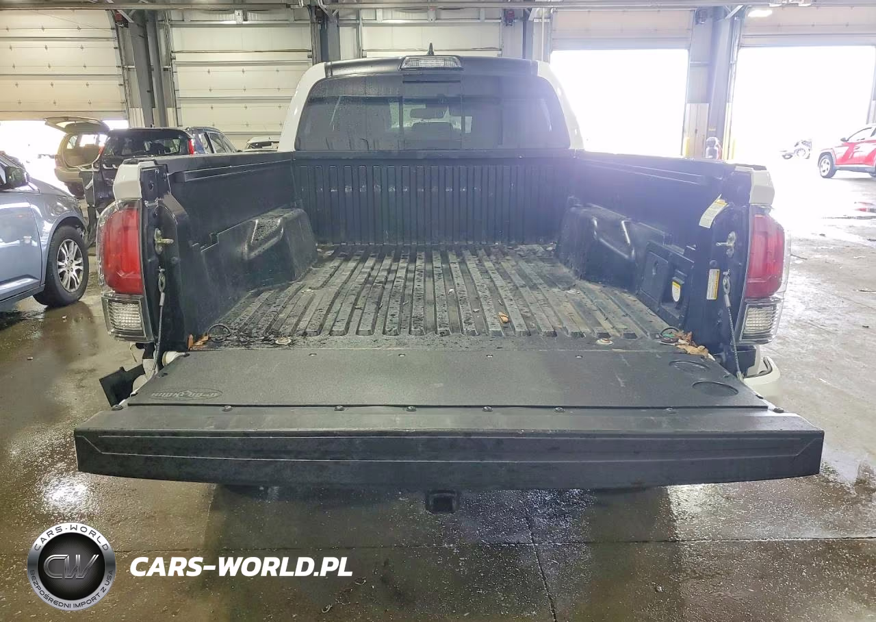 2019 Toyota Tacoma Trd Off-Road VIN:3TMDZ5BN4KM077208 - 6