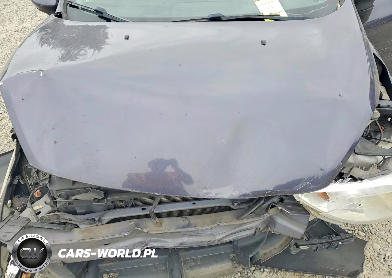 2013 Ford Fiesta Se VIN:3FADP4EJ7DM195318 - 11