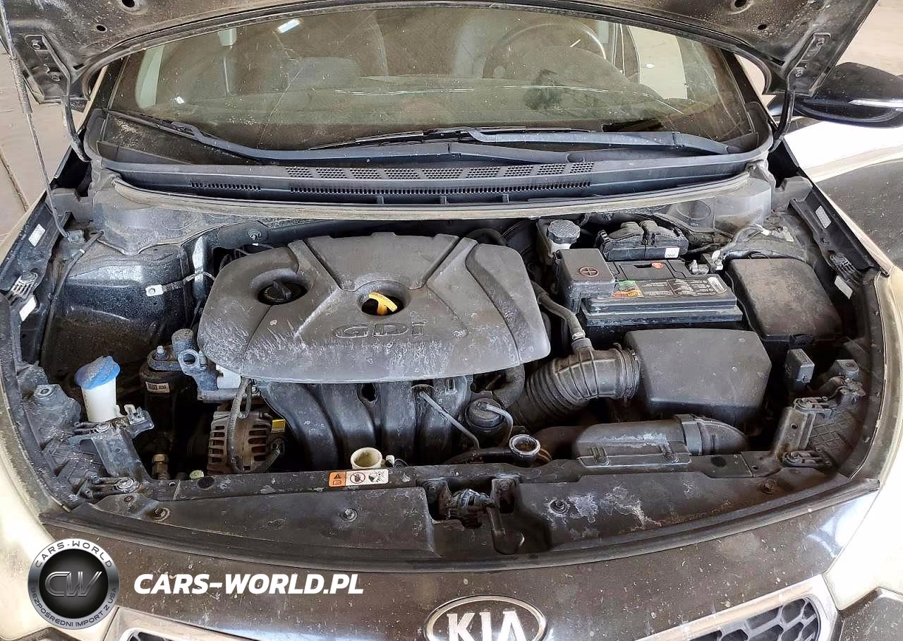 2016 Kia Forte Lx VIN:KNAFK5A84G5639921 - 11