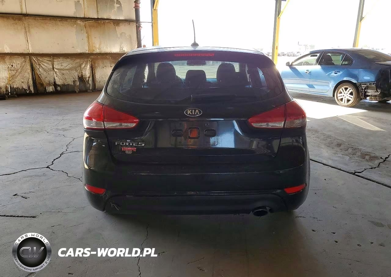 2016 Kia Forte Lx VIN:KNAFK5A84G5639921 - 6