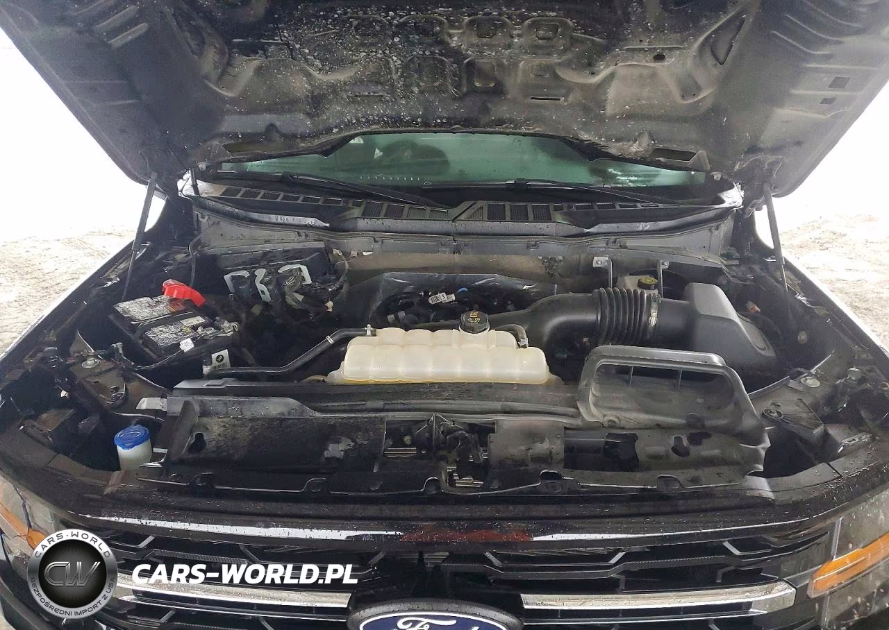 2025 Ford F-150 Xlt VIN:1FTEW3KP9SKE53802 - 12