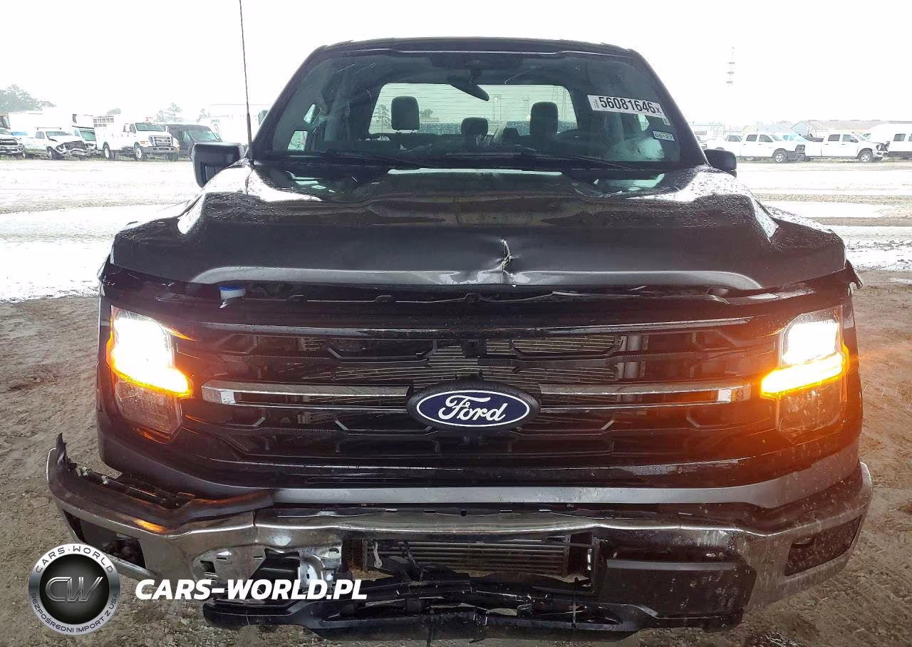 2025 Ford F-150 Xlt VIN:1FTEW3KP9SKE53802 - 5