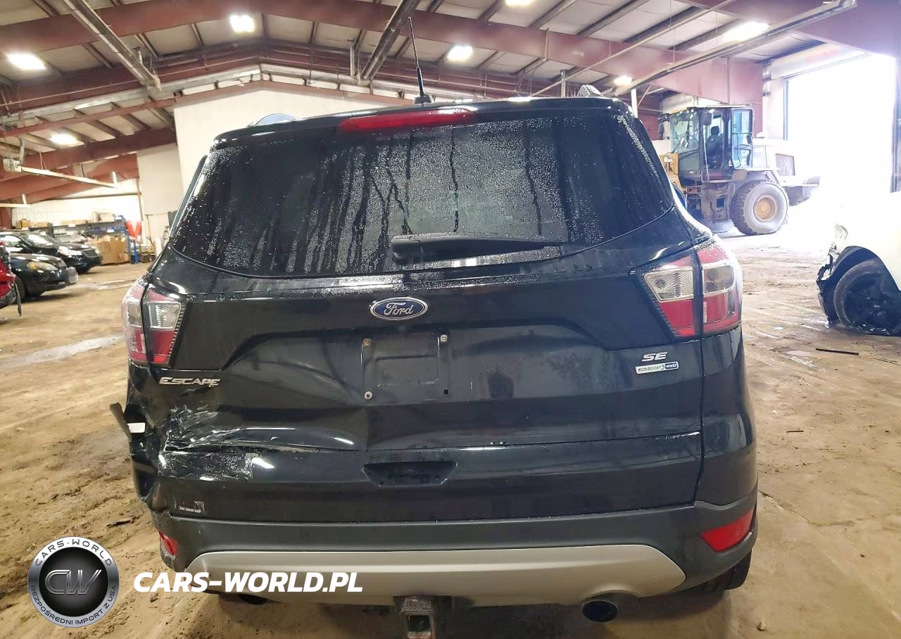 2017 Ford Escape Se VIN:1FMCU9G91HUE53652 - 6