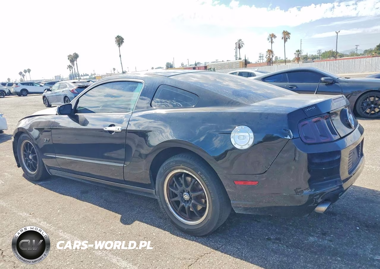 2014 Ford Mustang VIN:1ZVBP8AM2E5321517 - 2