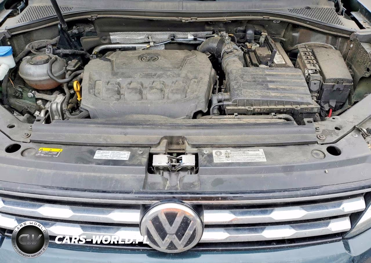 2019 Volkswagen Tiguan Se VIN:3VV3B7AX1KM060690 - 12
