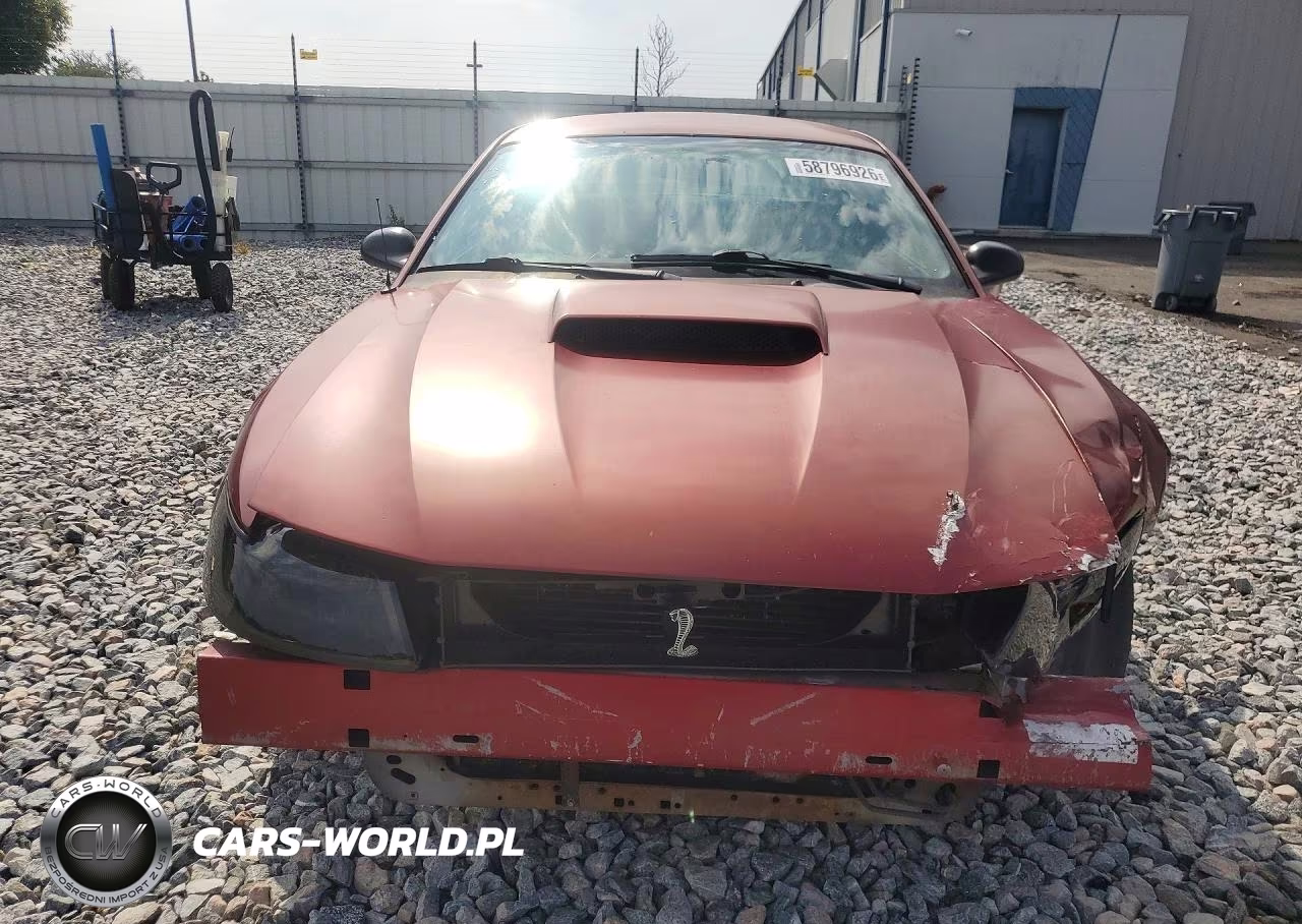 2004 Ford Mustang Gt VIN:1FAFP42X24F101797 - 5