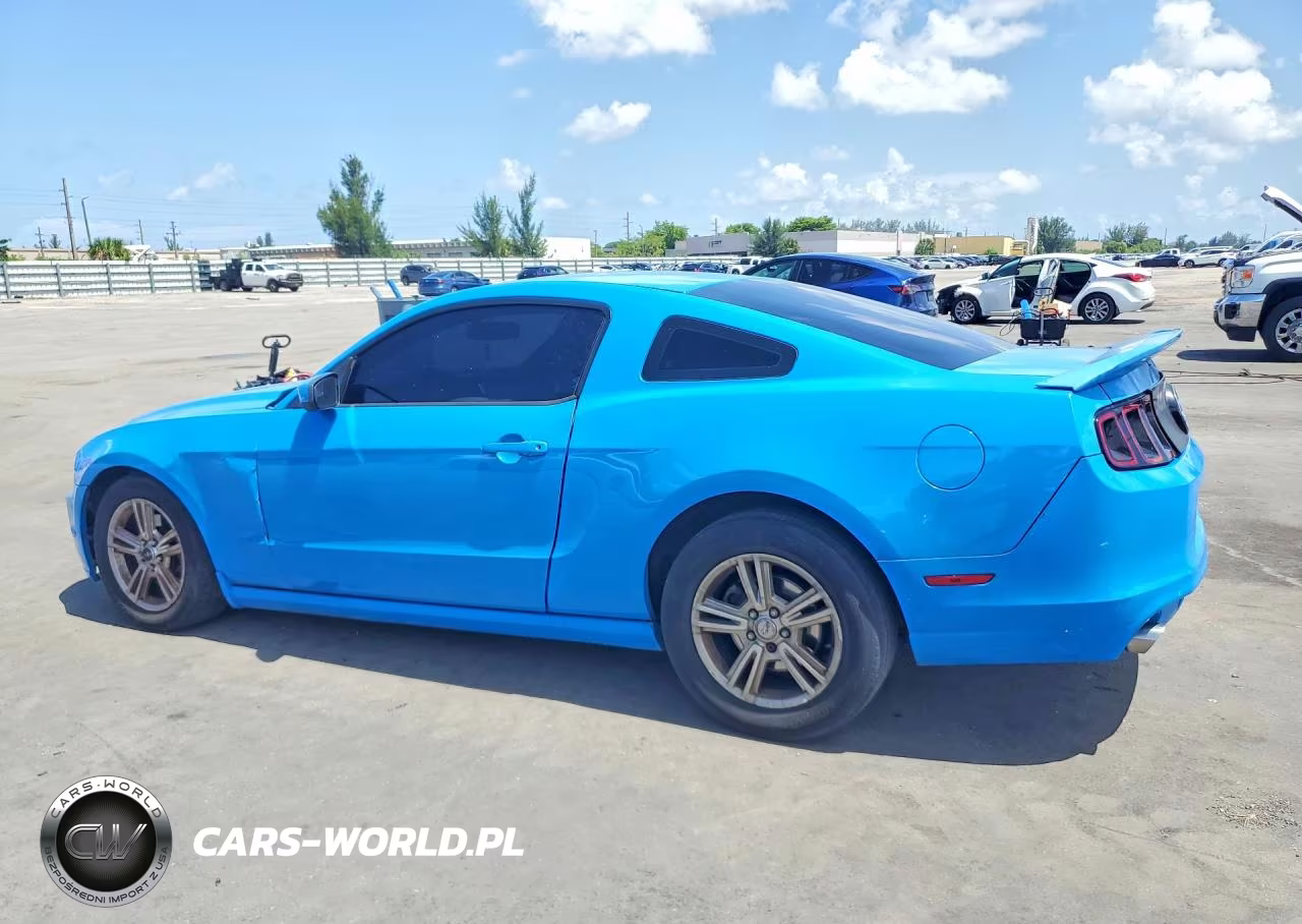 2013 Ford Mustang VIN:1ZVBP8AM4D5241134 - 2