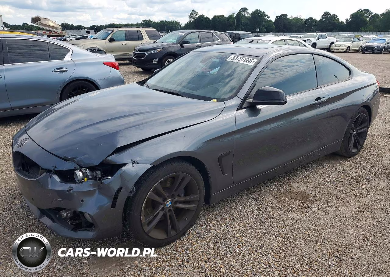 2015 BMW 4 Series VIN:WBA3N3C59FK233103 - 1