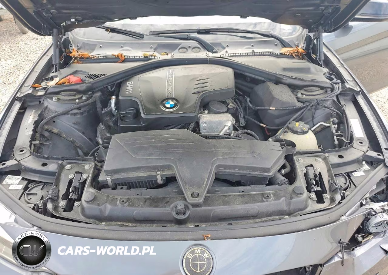 2015 BMW 4 Series VIN:WBA3N3C59FK233103 - 11