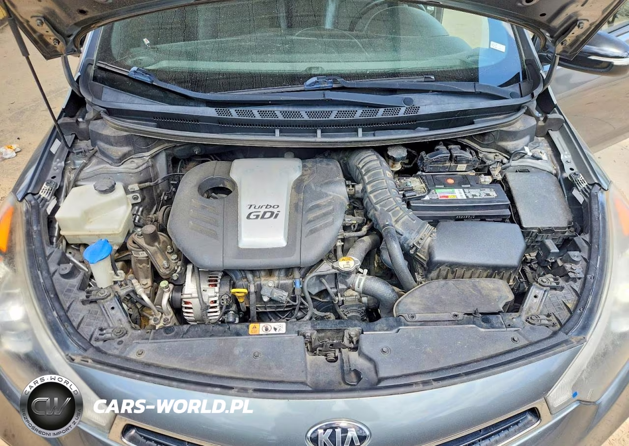 2016 Kia Forte Sx VIN:KNAFZ6A32G5638501 - 11