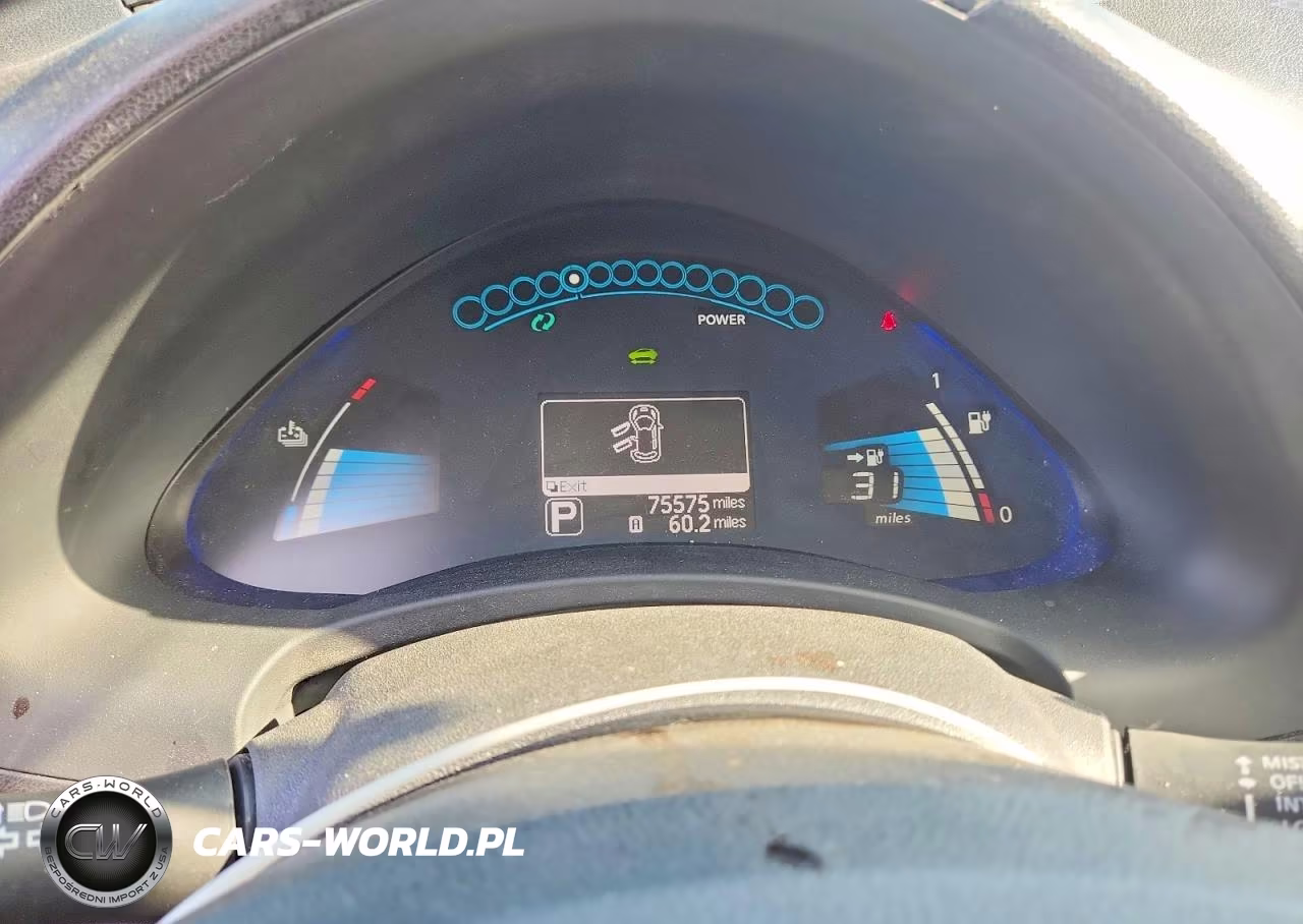 2013 Nissan Leaf S VIN:1N4AZ0CP2DC409288 - 9